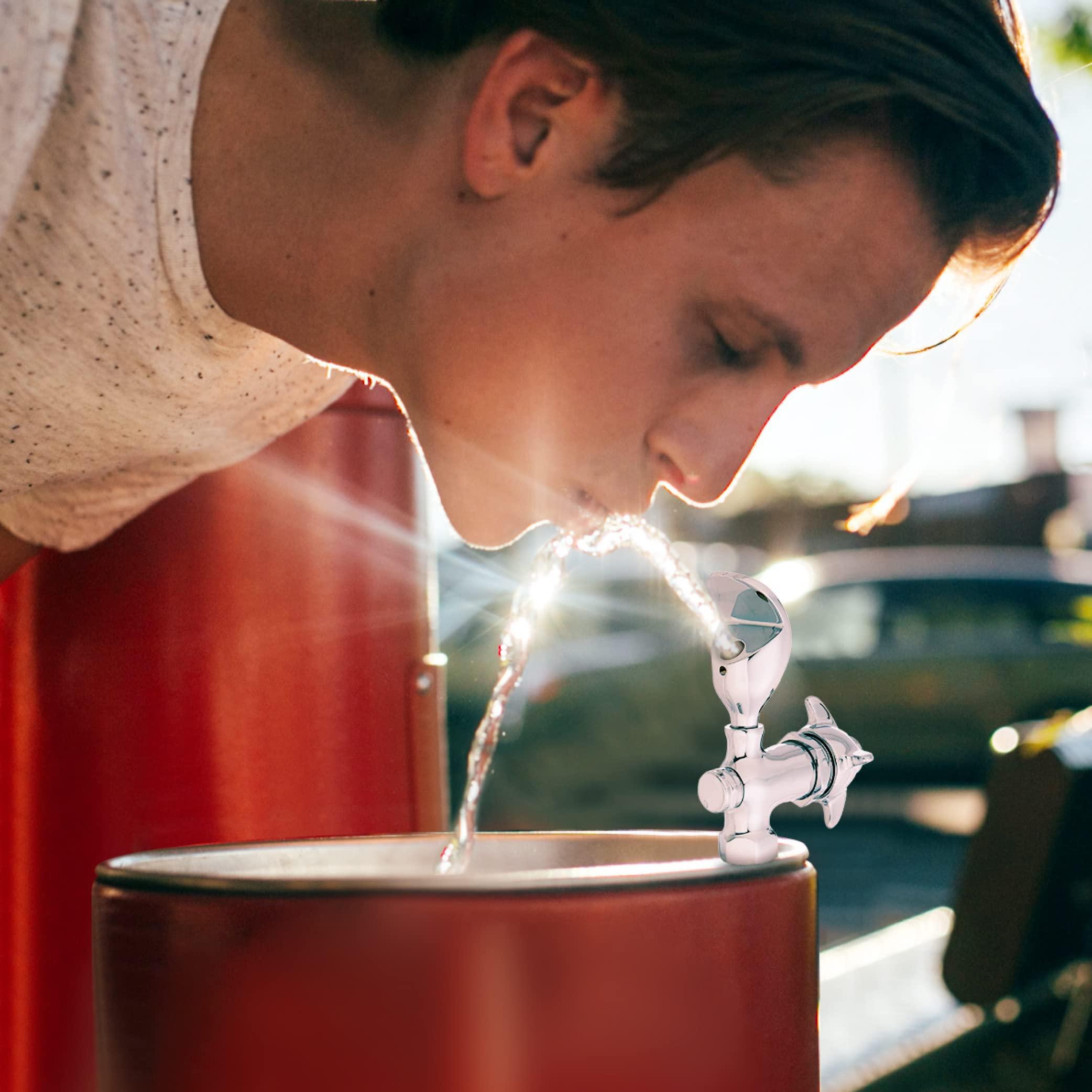 Homewerks Worldwide Homewerks Worldwide 3310-150-CH-B-Z Water Drinking Fountain Faucet 1/2\" FPT WTR Bubbler, No Size, Chrome