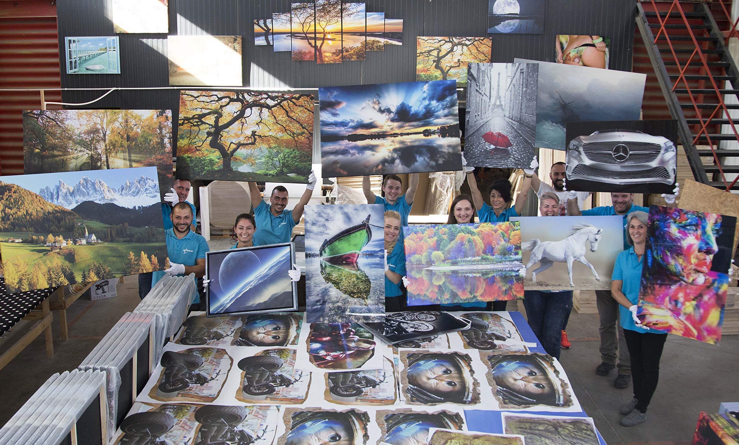 HKMA Stainless Steel Water Distiller with Build-in Thermometer - Home Fermentation Distilling Kit for DIY,6l/1.5gal