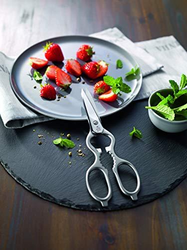 ZWILLING Zwilling 43923-200 Classic Cooking Scissors, Satin, Stainless Steel, Kitchen Scissors, Made in Germany