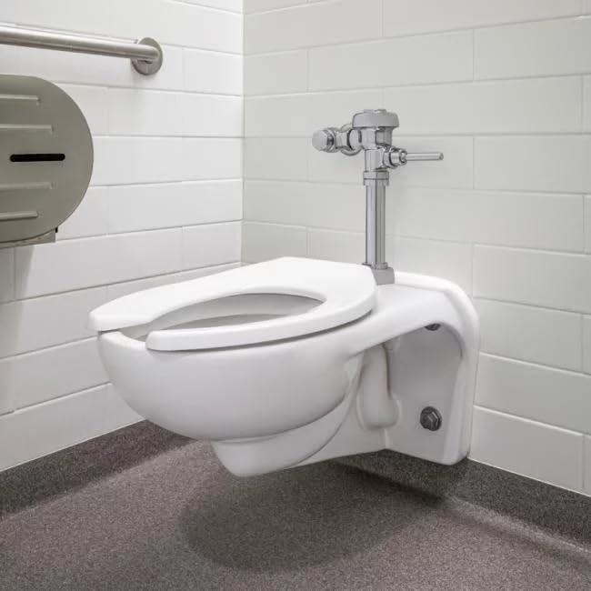 Sloan Sloan Regal 186 Exposed Manual Urinal Flushometer, 0.125 GPF Flush Valve - Single Flush, Non-Hold-Open Handle, Fixture Connection Top Spud, Polished Chrome Finish, 3982604