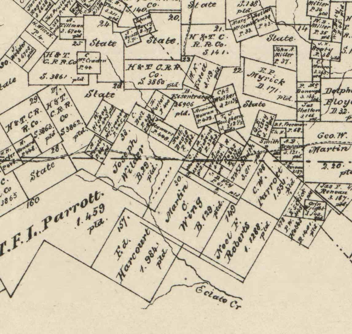 Generic Guadalupe County, Texas - 1880 - Wall Map with Land Owners names - General Land Office - Genealogy - Old Map Reprint