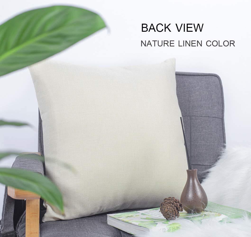 Starosept Decorative Throw Pillow Case Square Cushion Cover Brown Dog Face Red Fox Male Vulpes Animals Wildlife Nature Orange Furry Amber Beast Beauty Black Linen Cozy Pillowcase Home Decor 18x18 Inches