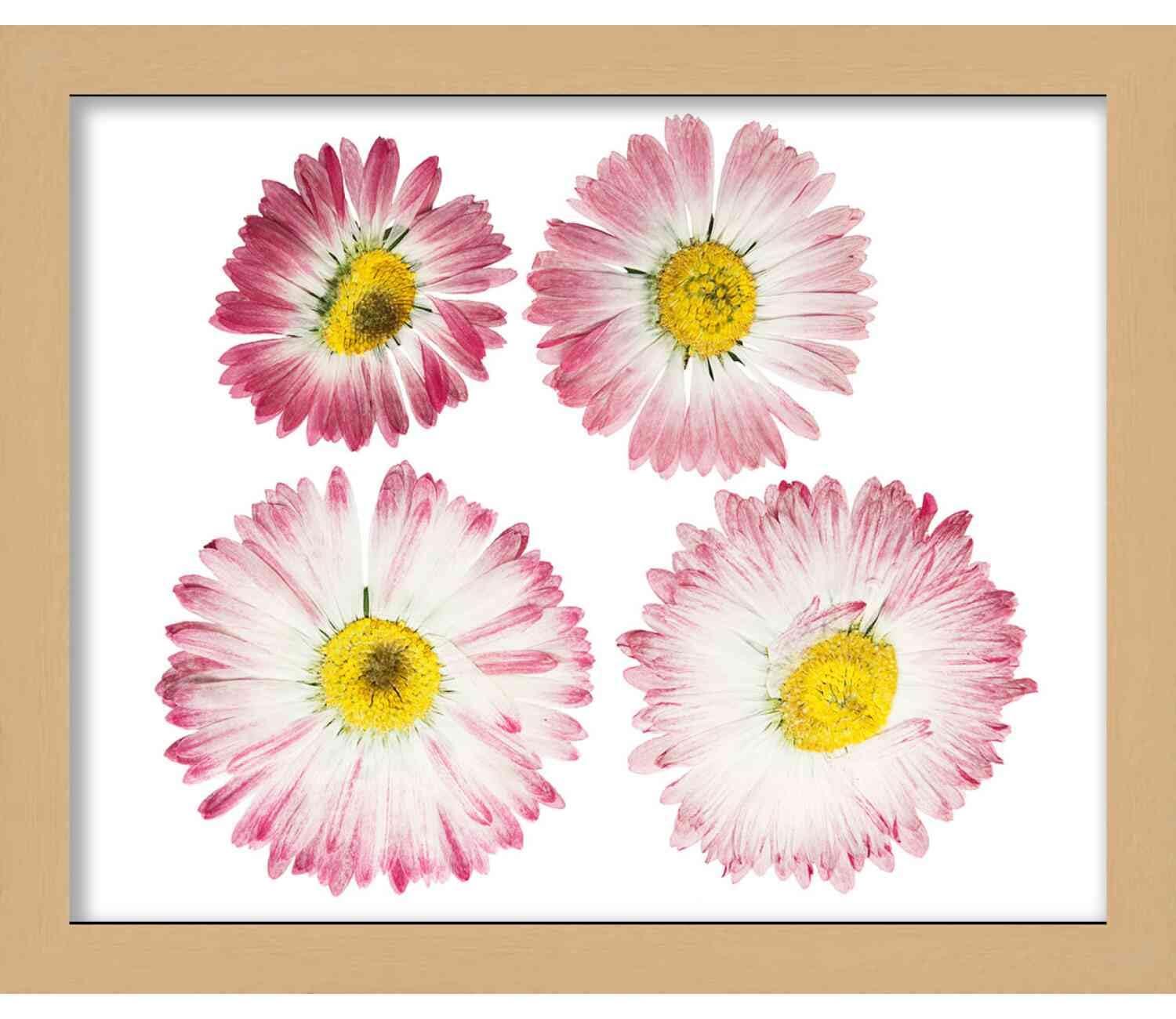 Posterazzi Serene Florals II Poster Print by Design Show (10 x 12)