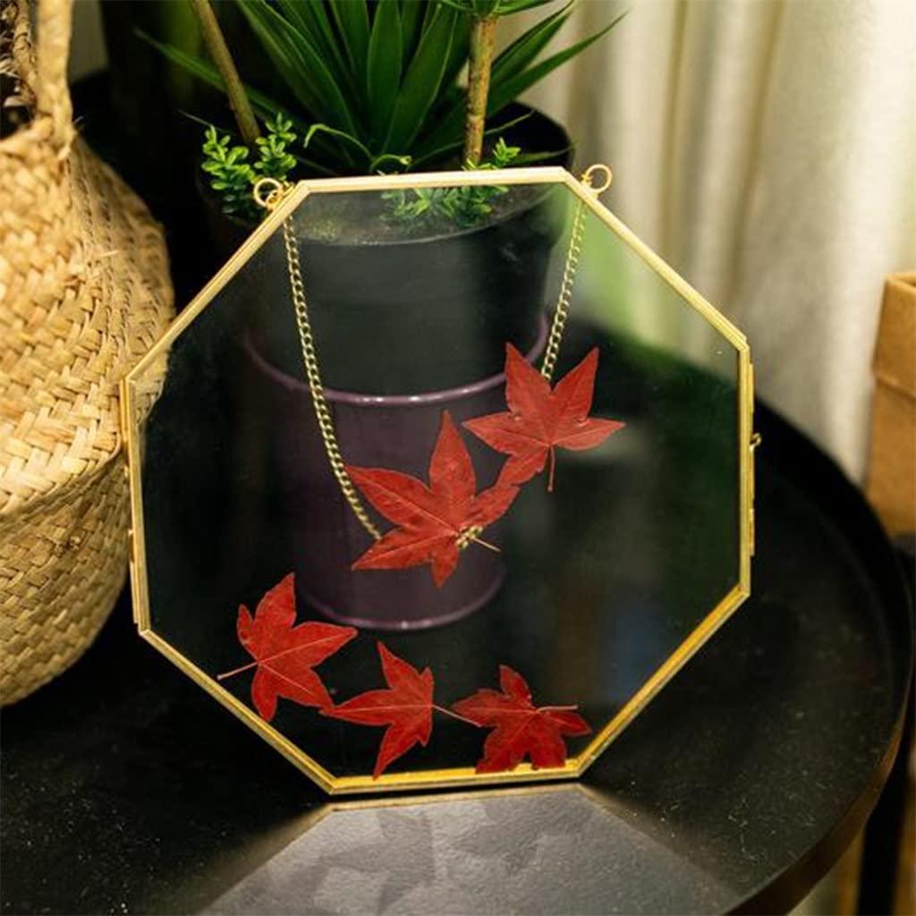 TOBILE TOBILE Brass Hanging Photo Frame Copper Glass Picture Frames Clip Wall Decor