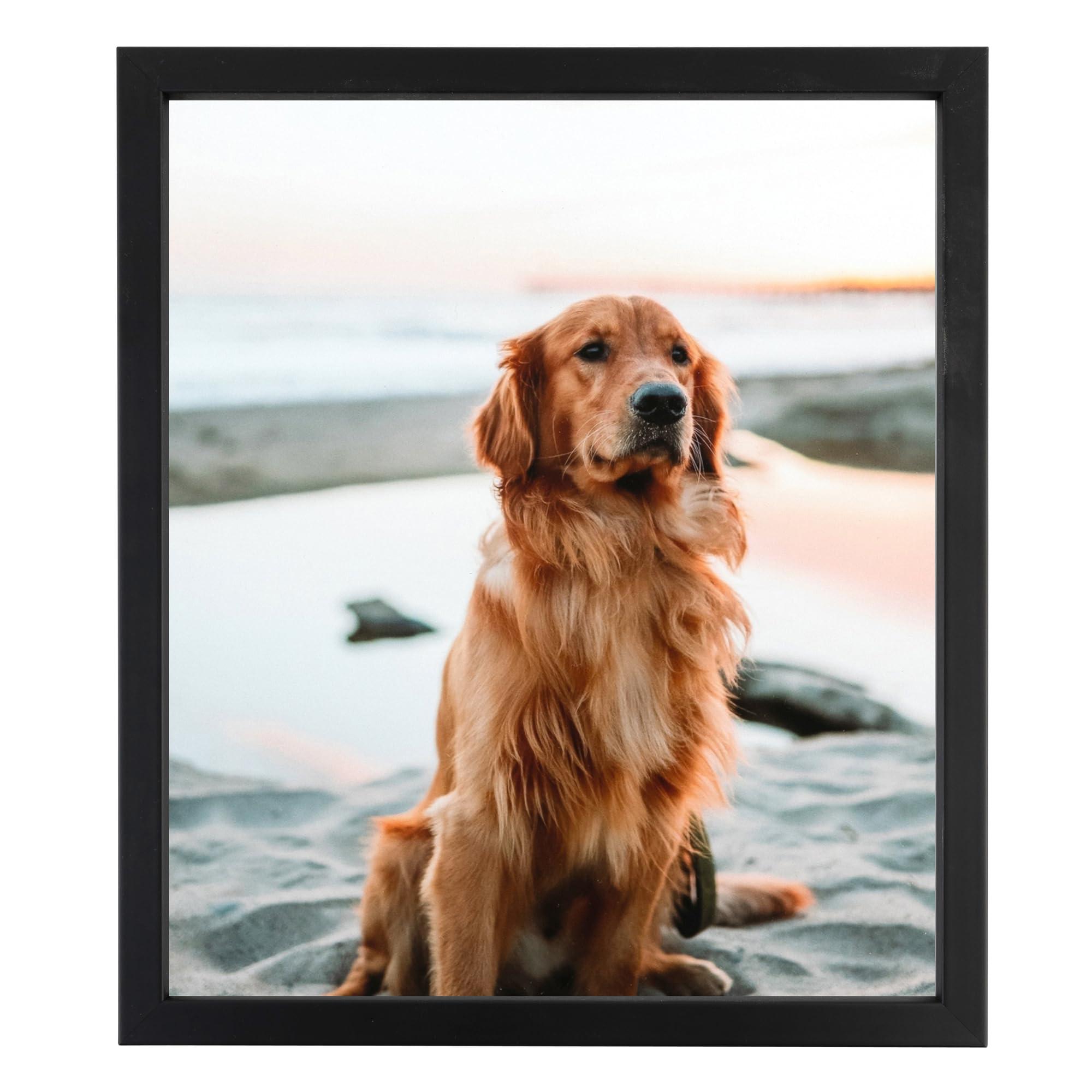 ArtToFrames ArtToFrames 18x24 Inch Black Picture Frame, This 0.75 Inch Custom Wood Poster Frame is Satin Black Short - Comes with Foam Backing 3/16 inch and Regular Acrylic (FBPL10010-18x24)