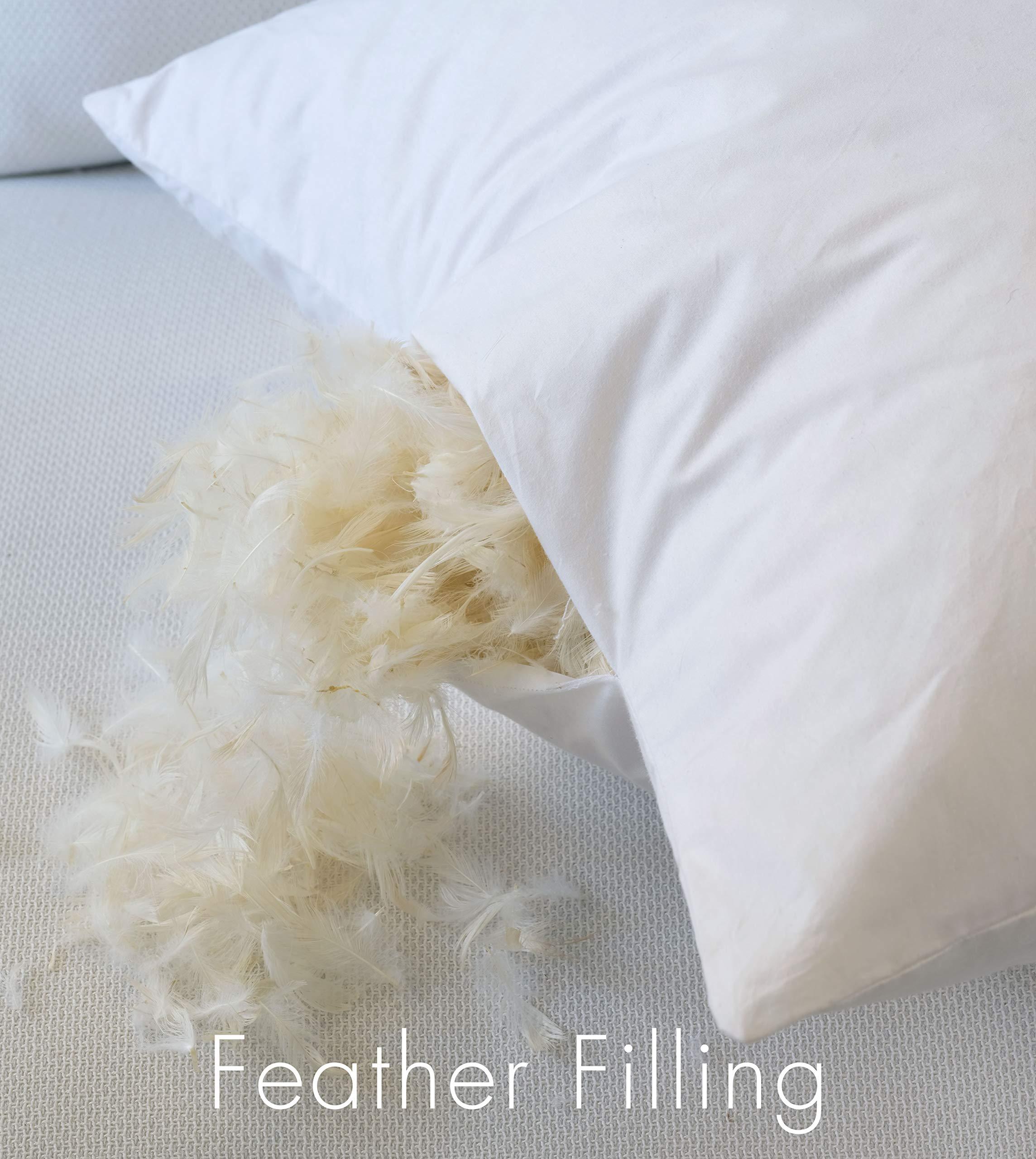 Plankroad Home Dcor Plankroad Home Dcor 21x76 Hypoallergenic Luxury 100% Small Feather Rectangular Grand King Pillow Insert, 100% Cambric Cotton Shell, Never Vacuum-Packed, Odorless, Made in USA