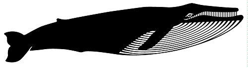 Luminus Luminus PLYC5294 BR30-8W (65W) 650 Lumens Warm White 2700k Dimmable LED Light Bulb-16 Pack