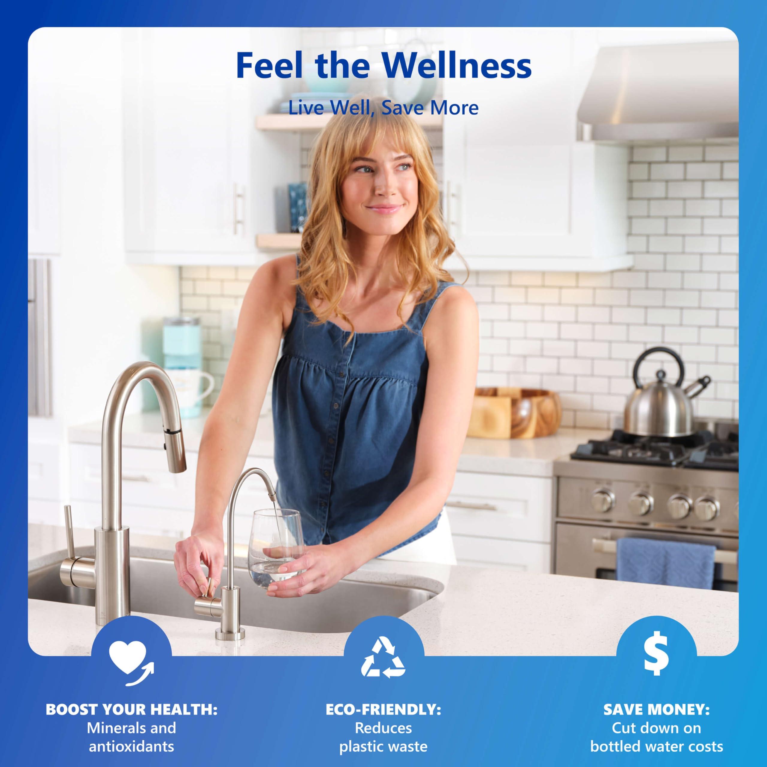 EXPRESS WATER Express Water 10 Stage Reverse Osmosis Alkaline Water Filtration System - Under Sink Water Filter with Faucet and Tank, 100 GPD