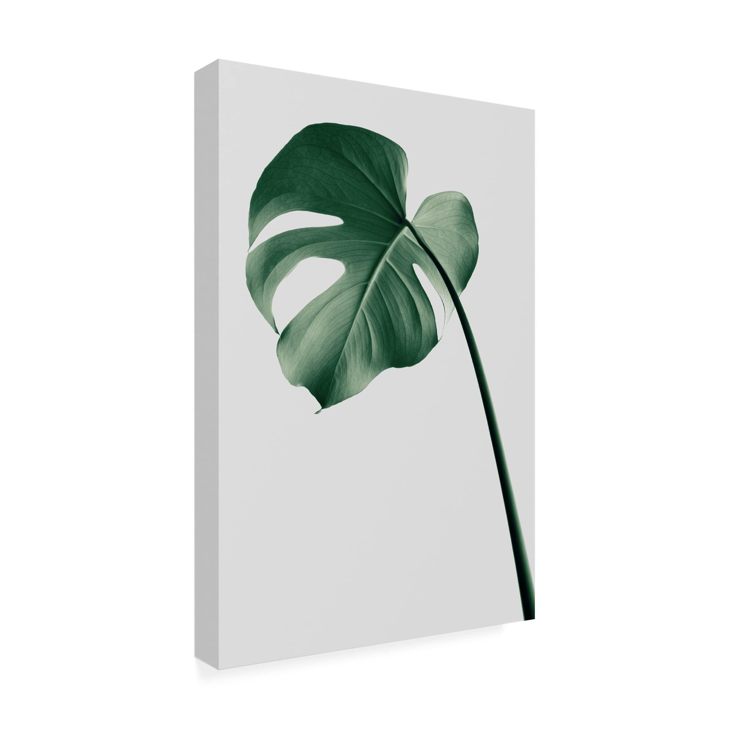 BRUNO BRUNO Peanuts BOE070-ECRU Snoopy Compact Hot Plate Body & 3 Plates (flat & takoyaki & pancake) White Japan Import