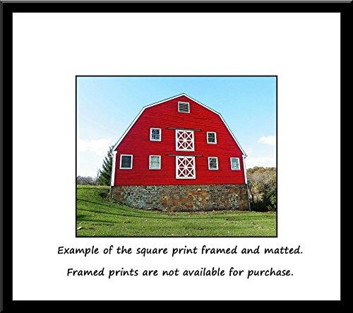 Generic Big Red Dairy Barn. A fine art photograph of a pretty red dairy barn with a Gambrel roof. Wonderful double-X brace doors!