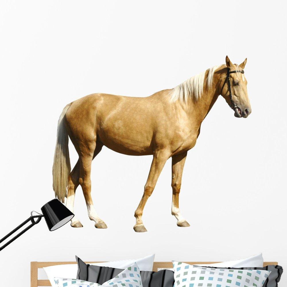 CASE XX Case Cutlery 9220-125MM Peanut Corelon