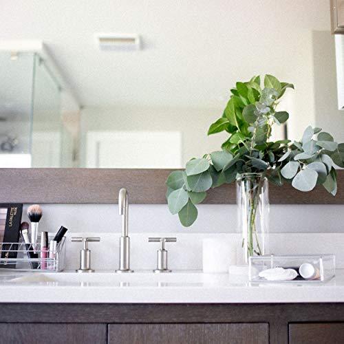 Design Ideas Design Ideas Lookers Makeup Organizer, Soft Vinyl and Steel Organizer, 12 Compartment Storage, Clear