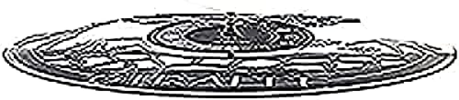 LKCLOCK Wall Clock Battery Operated Silent Non-Ticking 12 Inch Vinyl Record Art Zoo Vinyl Record Nursery Crafts Clock