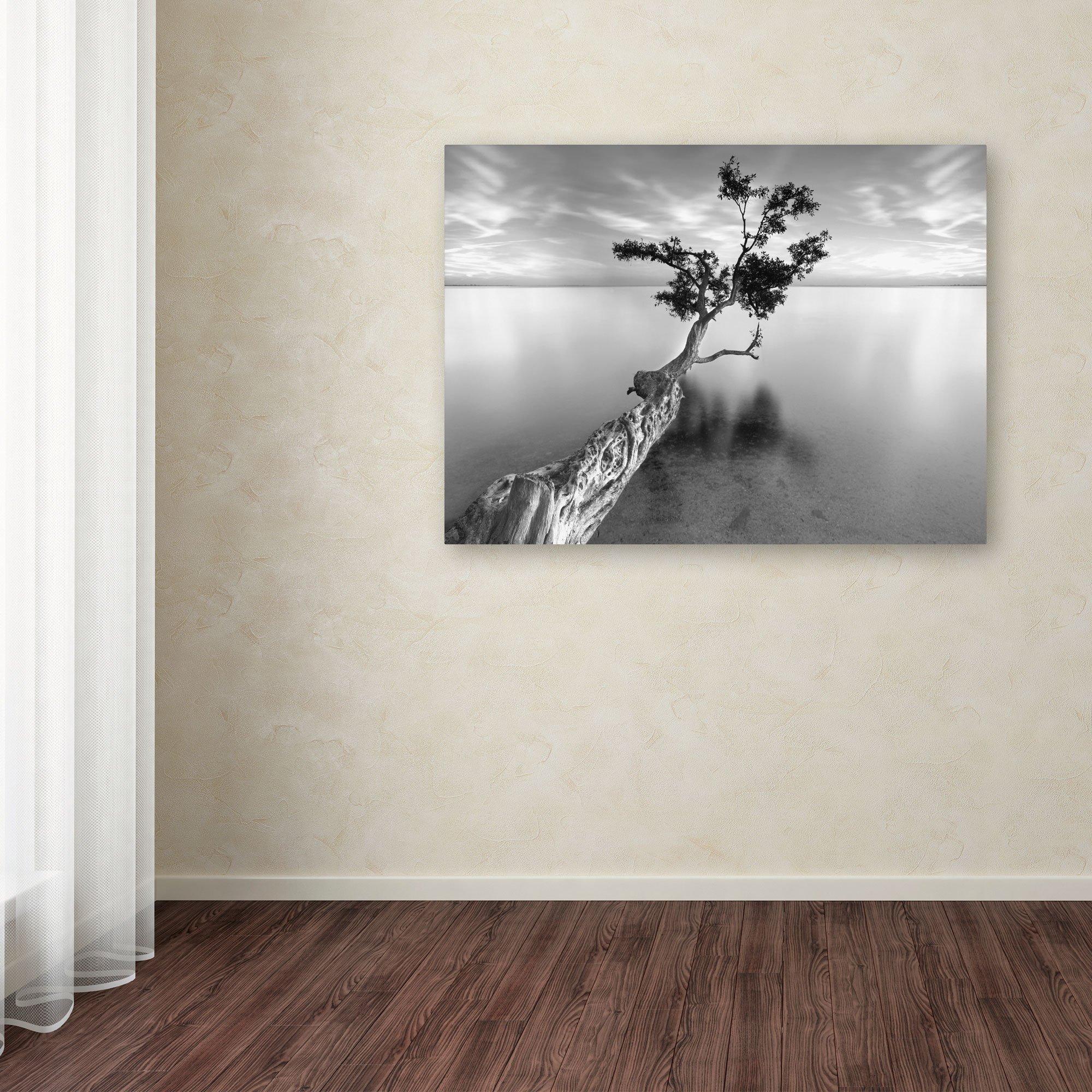 Silikomart Silicone Mart Uniflex SFT306 Non-Stick Mold Square Pan, Silicone, Italy WML5001