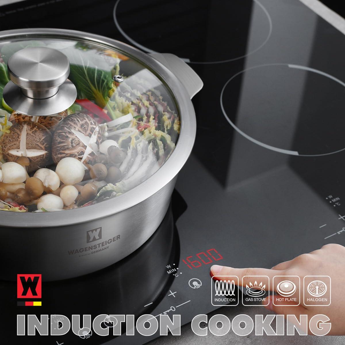 WAGENSTEIGER WAGENSTEIGER 4.18Quarts Stainless Steel Saut pan Casserole Pot with Tempered Glass Lid, Stock Pot, 3-Ply Construction with Aluminum Core, Stylish Design, Brushed Finish