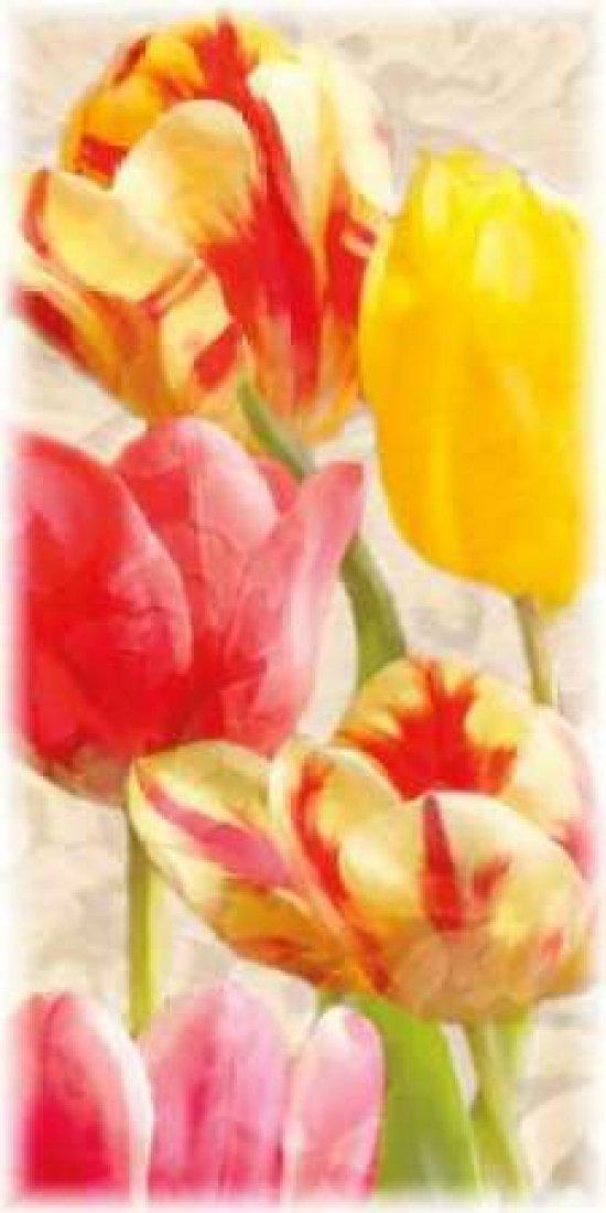 Posterazzi Posterazzi Glowing Tulips I Poster Print by Janel Pahl, (24 x 48)