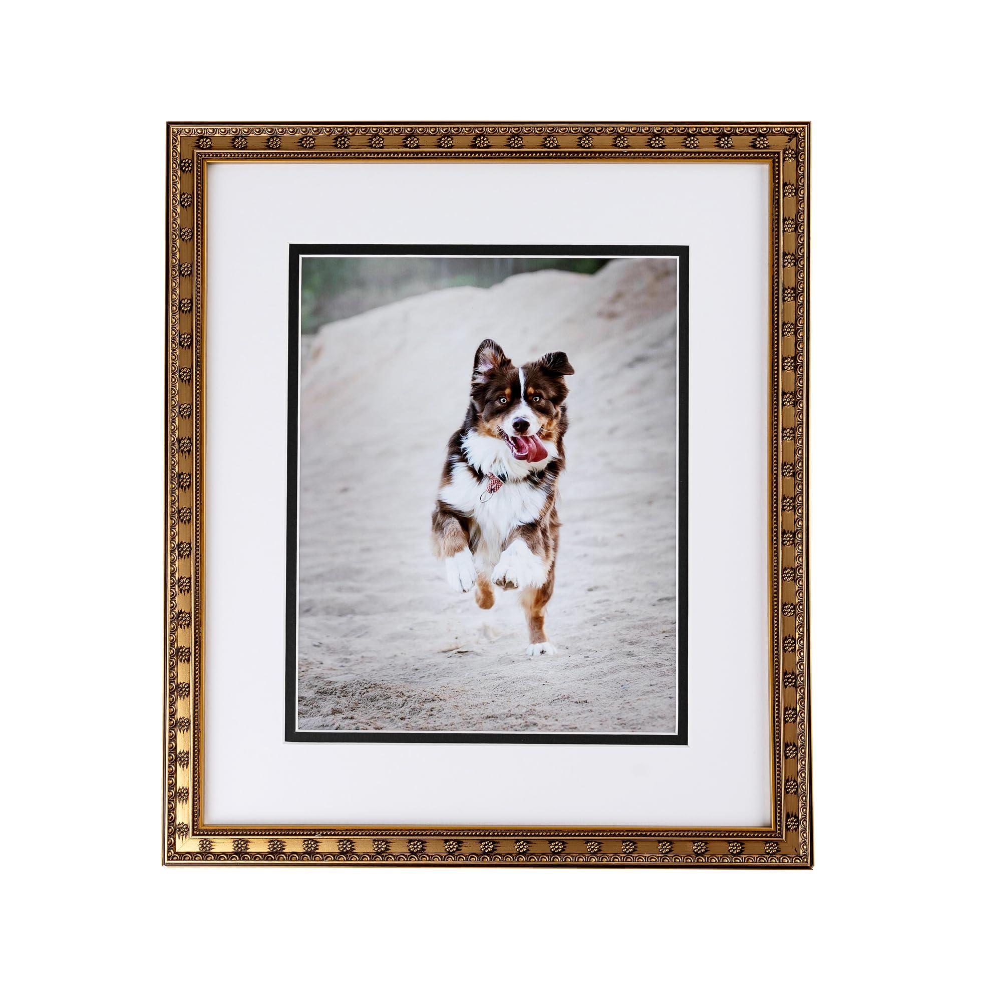 ArtToFrames ArtToFrames 20x20 inch Gold with Star Compo Picture Frame with 2 Inch Single Ivory Mat, SingleMat-D9329-20x20-81