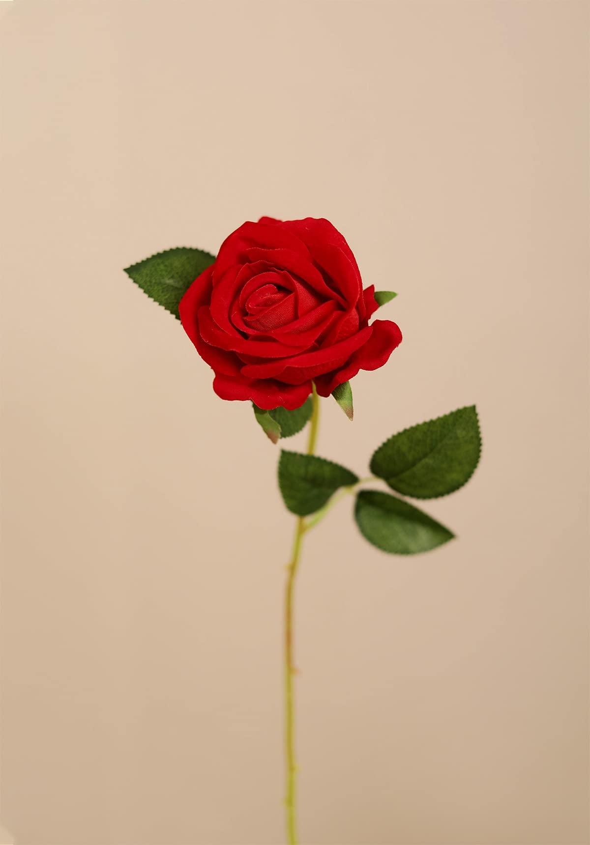 Luyue Luyue 10 Pack Artificial Velvet Roses Fake Red Rose Silk Flowers with Stem Floral Gift for Wedding Arrangement Party Home Decor-Red