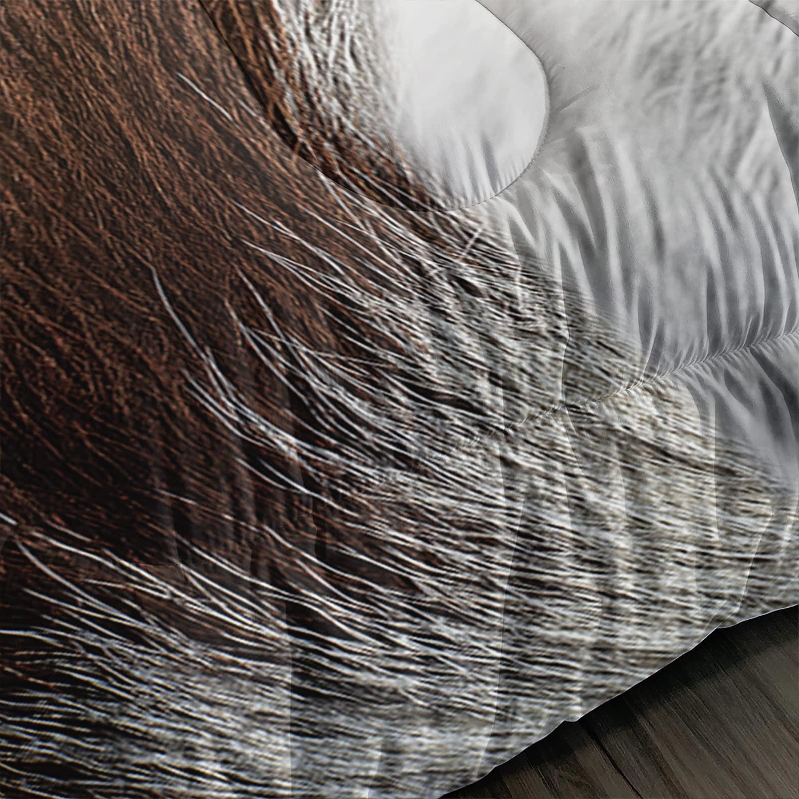 Axolotl Axolotl Sunflower Bedding Set Full,Yellow Sunflowers Comforter Set,Butterfly Bedding Blue Butterflies,Flower Bedding Set,Summer Floral Comforter Set for Girls Kids Teens Adults,1 Quilt 2 Pillowcases