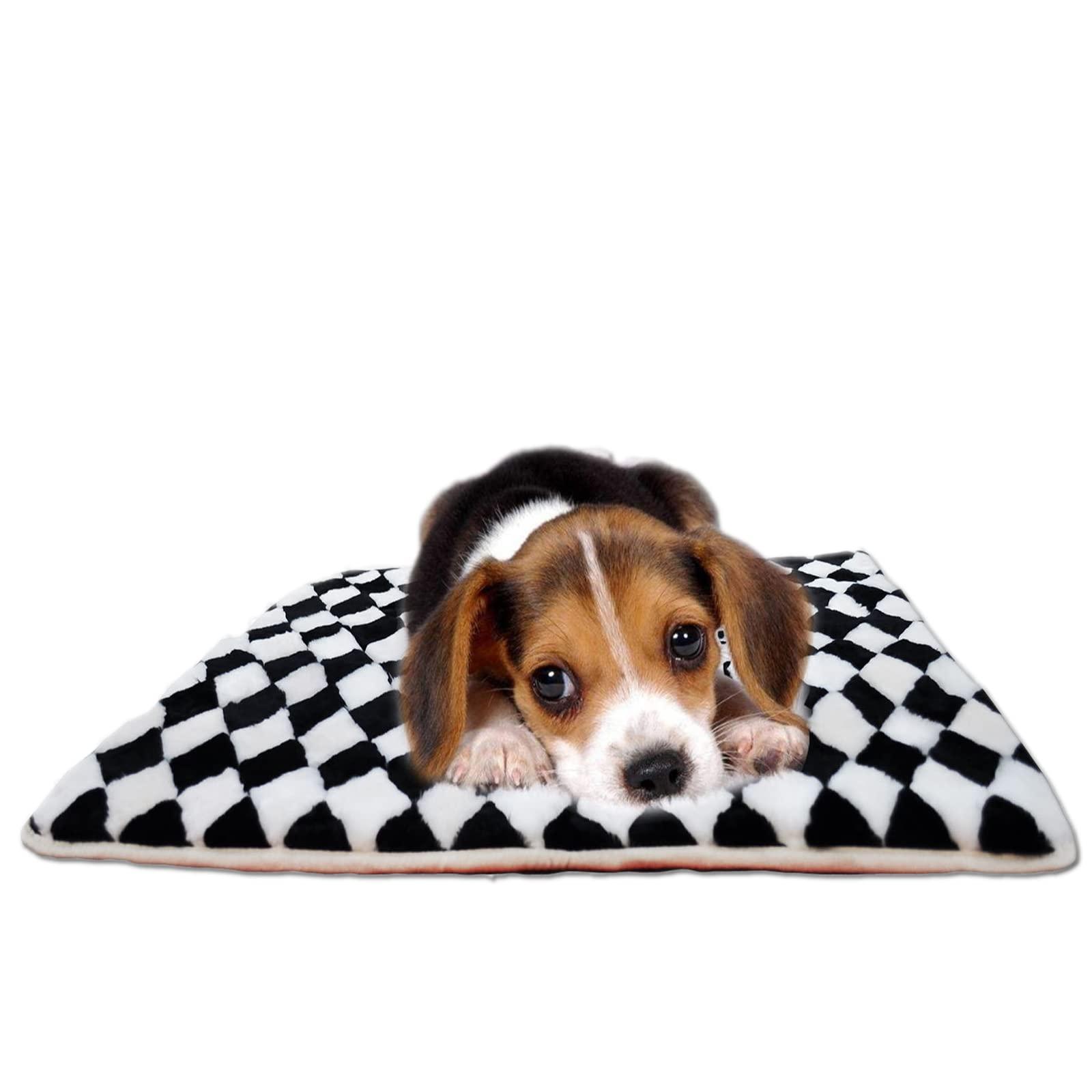 PoBoo Sheepskin Area Rugs, Cosy Lambskin Fur Carpet, Genuine Sheepskin Blanket, Luxuxry Fur Mat for Bedroom and Living Room (3.3' x 5.3', Regular White & Black)