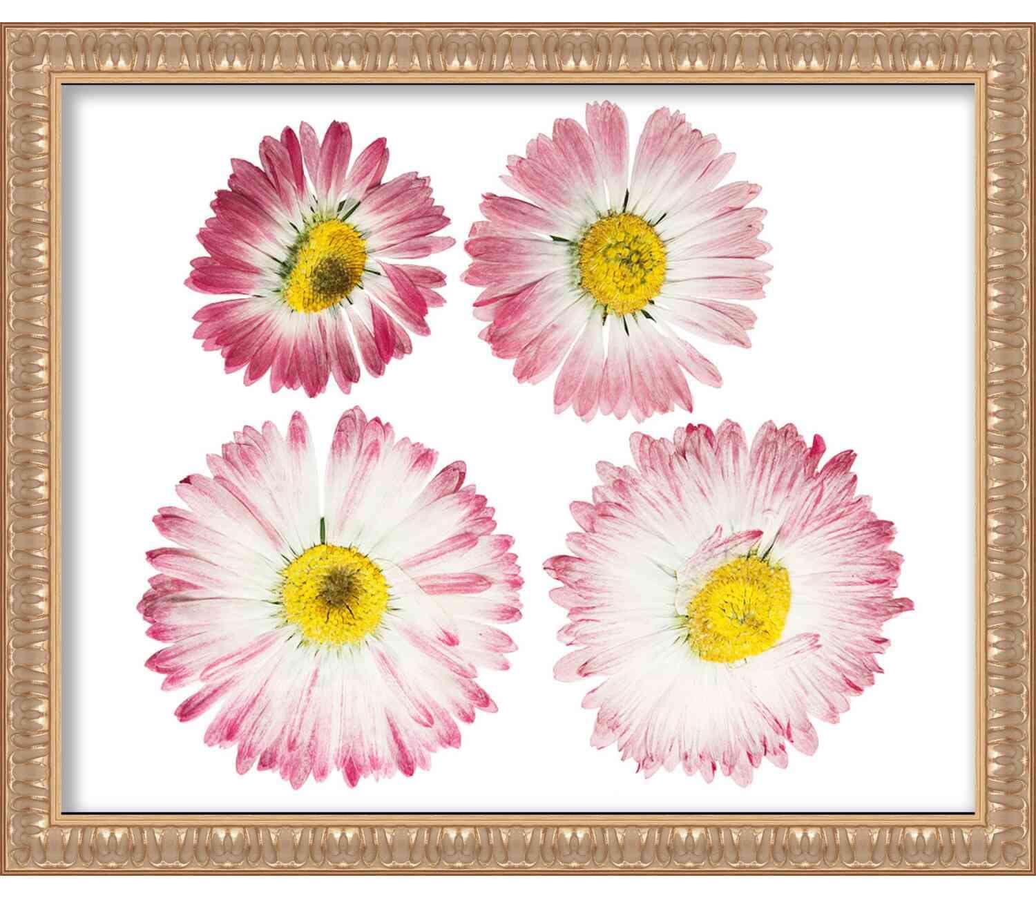 Poster Palooza 14x11 Ornate Silver Shadow Box Frame - Shadow Box Frame Interior Size 14x11 by 1 Inch Deep - Frame Is Made to Display Items Up to 1 Inch Deep! includes Shatter Resistant Acrylic, Backing, Hardware