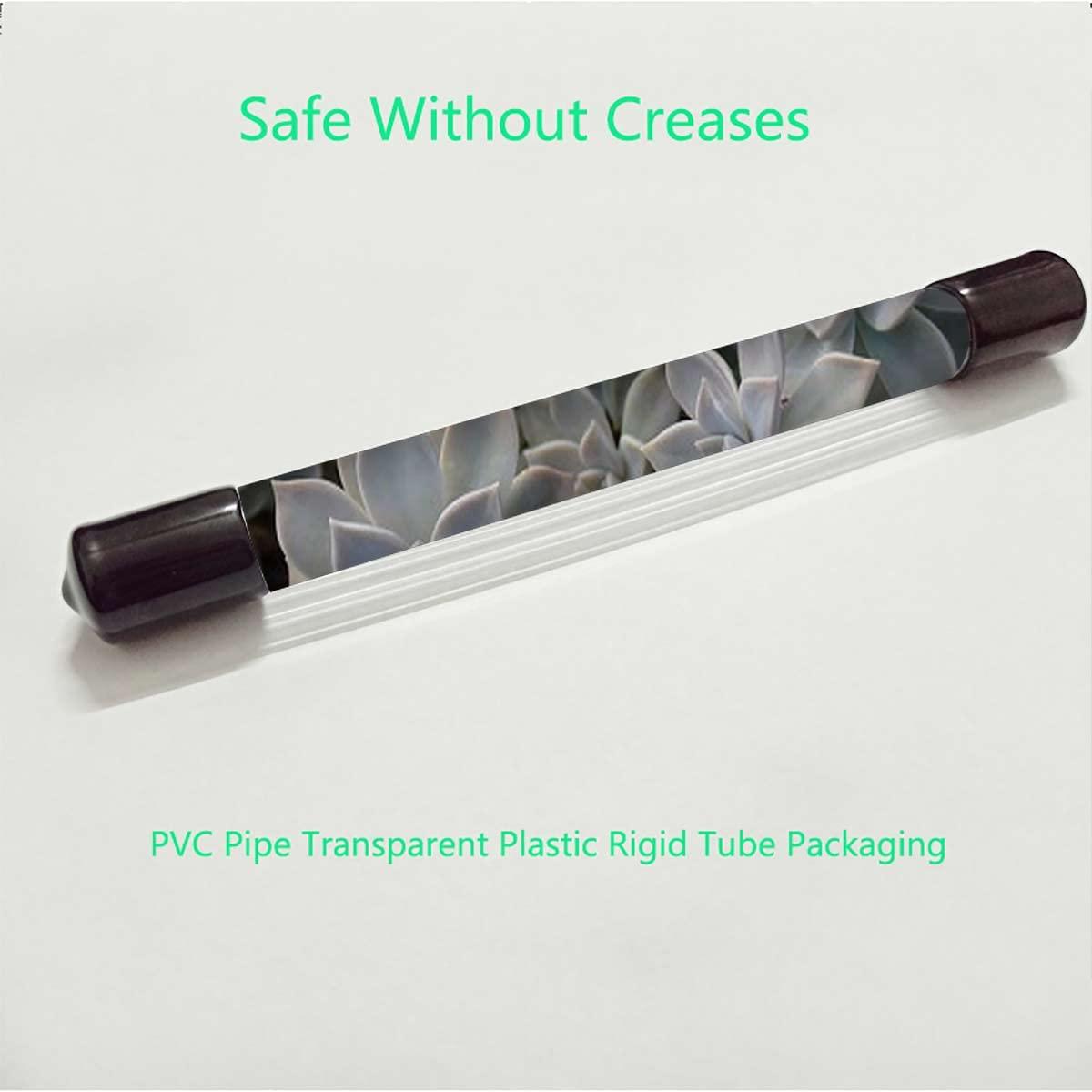 Generic Green Decorative Vinyl Window Film Frosted Glass Sticker Static Cling Window Covering for Privacy Decoration Cute Succulents Flower Desert Frosted Glass Film 27.6Wx47.2L-inch x2 Pcs