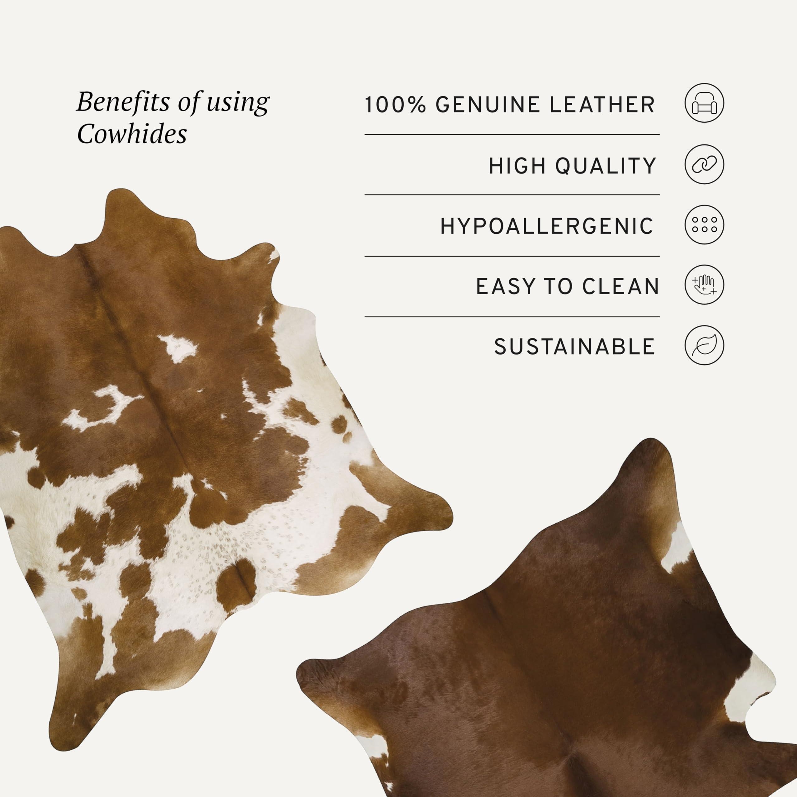 ecowhides Zebra Print Cowhide Rug Genuine Leather in Gold Metallic, for Living Rooms, Bedrooms, or Offices