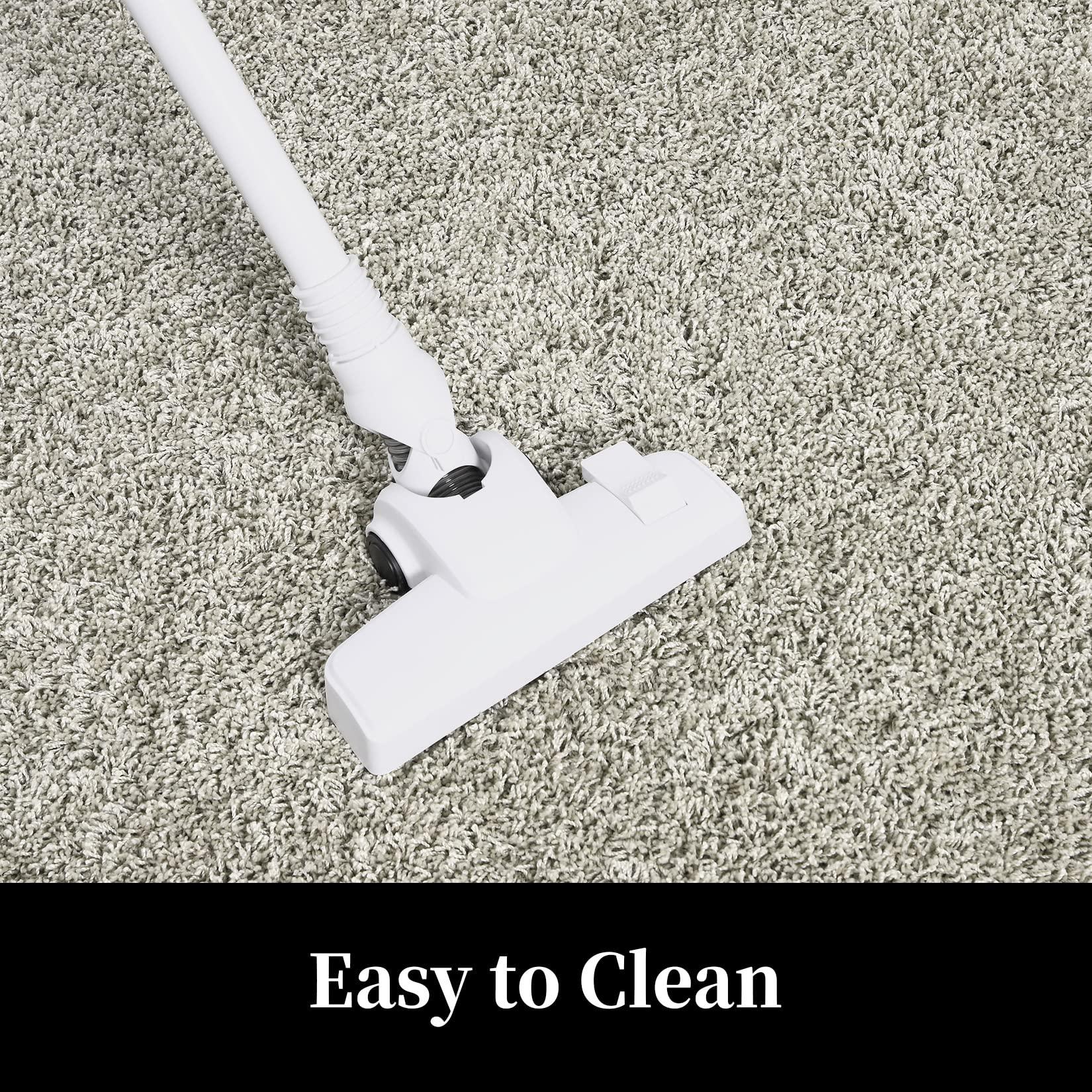 NANAN NANAN Living Room Rug 10x13 Shag Plush Rugs for Bedroom College Dorm Room Non Shedding Fluffy Bedside Rug Soft Shaggy Office Carpet Fuzzy Rugs for Nursery Aesthetic Rugs Ivory Grey