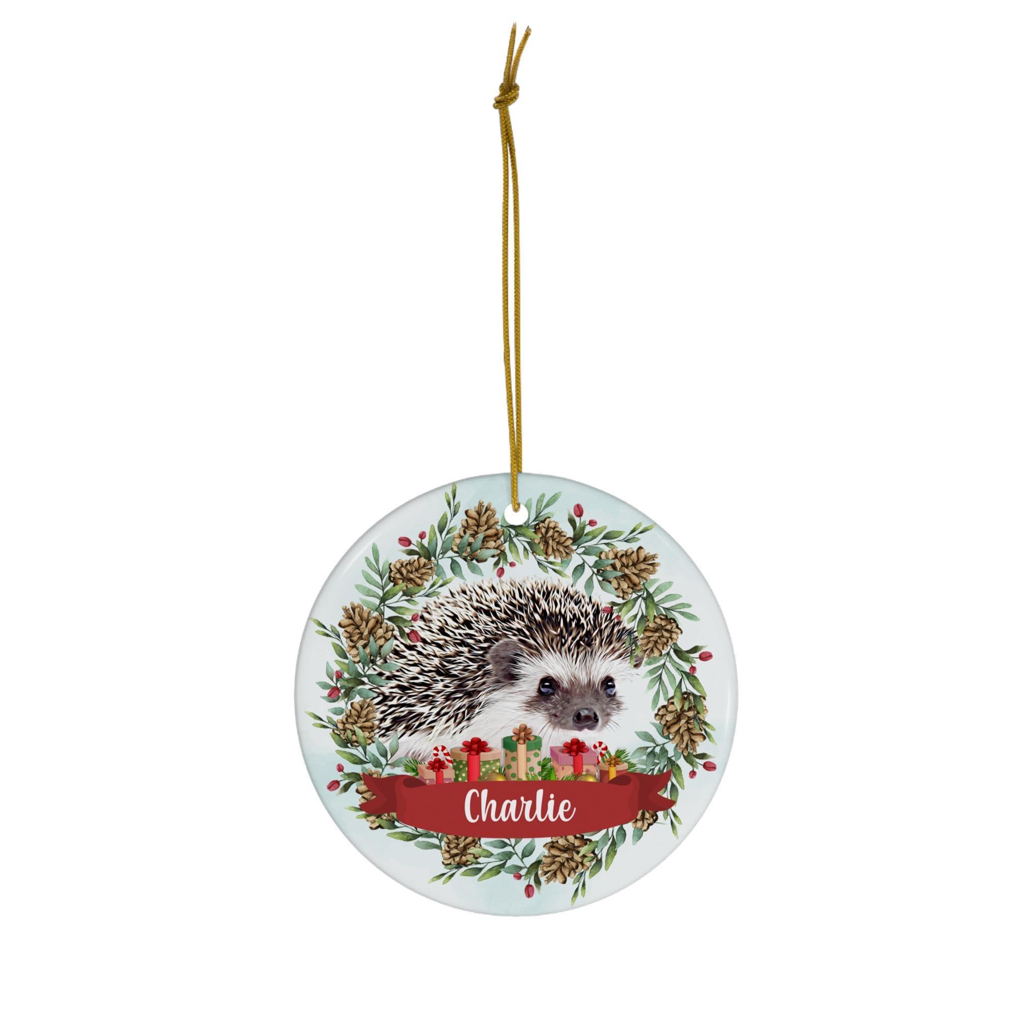 Lovesout Pinecones Theme Design with Baby African Hedgehog Personalized Name Christmas Ornaments 2024 Circle White Ceramic Pet Owner Gifts