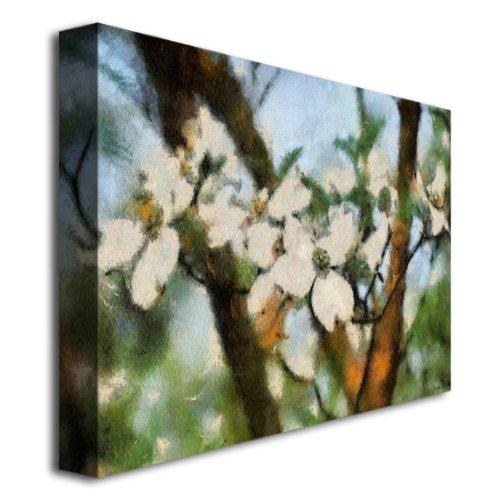 ZWILLING Zwilling 39500-600 Sorento Glass Straws, Clear, Straight, Glass, Transparent, Eco-Friendly, Reusable, Heat Resistant, Reusable, Made in Japan