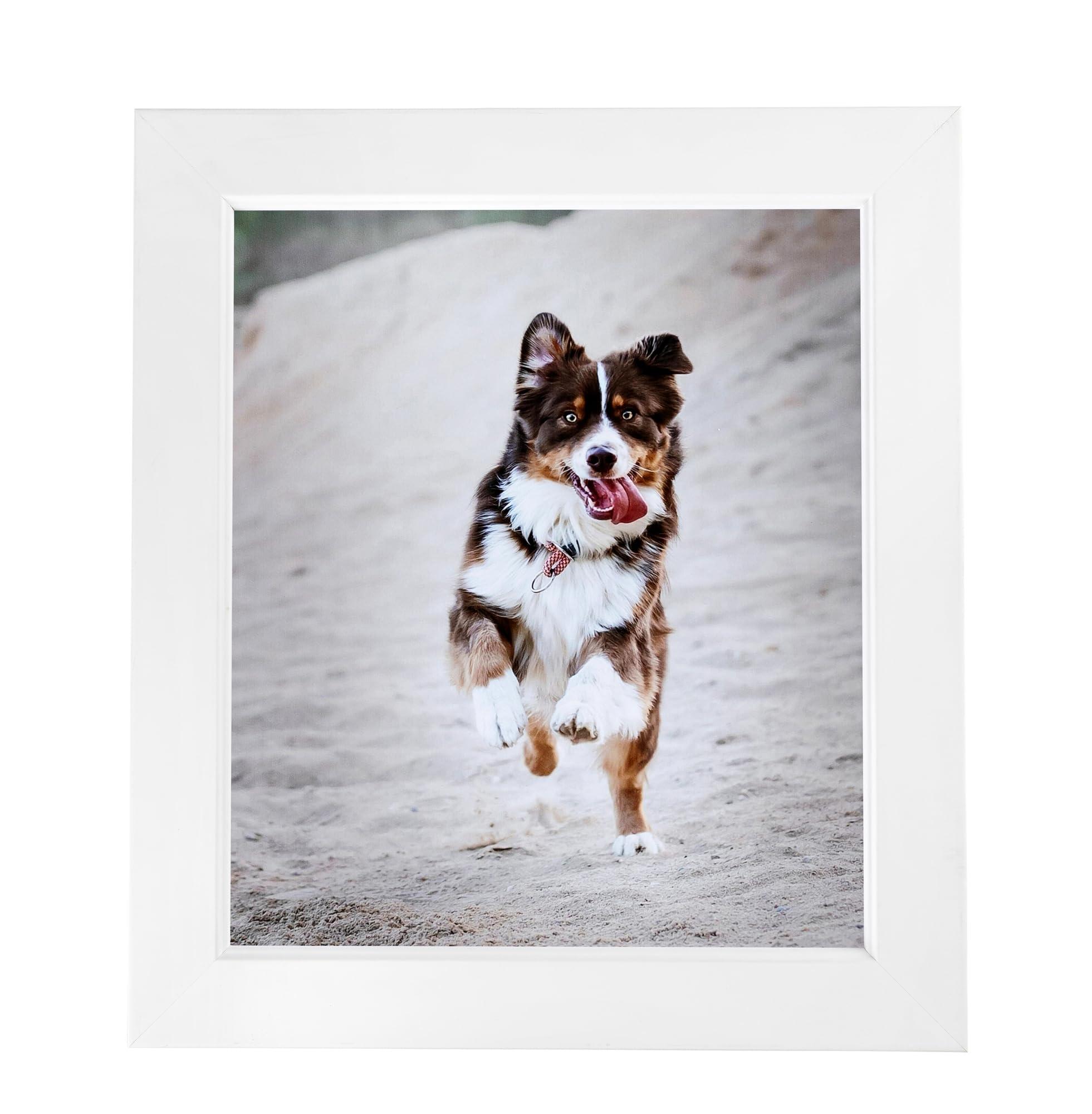 ArtToFrames ArtToFrames 9x10 inch Contemporary White with Lip Wood Picture Frame, 2WOMD8991-9x10