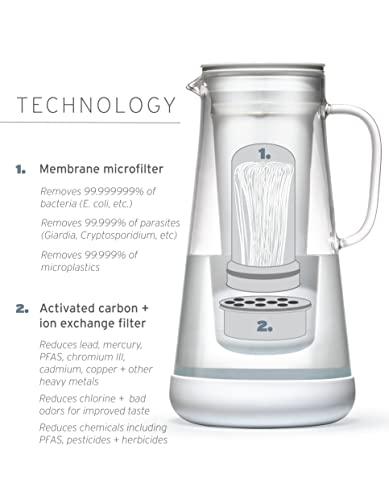 LifeStraw LifeStraw Home Pitcher Glass and Silicone Base 7 cup Pebble