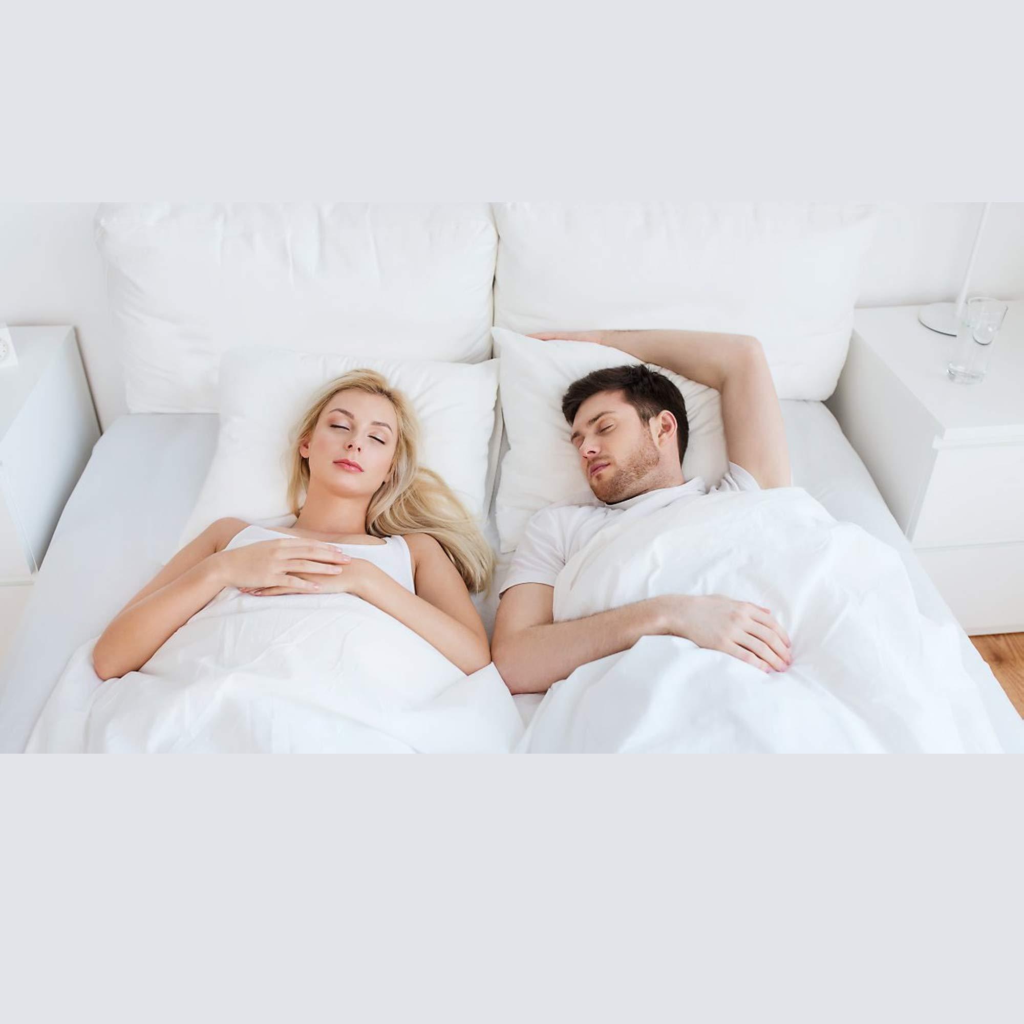 Hometex Canada Hometex Canada Pillow Insert 28\" x 28\" Polyester Filled Standard Cover (6 Pack)