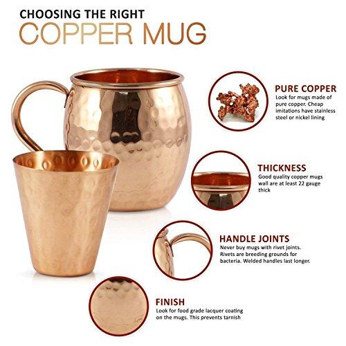 Advanced Mixology Advanced Mixology [Gift Set] Mule Science Moscow Mule Mugs Set of 4 (19 oz. large size) | 100% Handcrafted | Food Safe | Copper Mugs w/Accessories | Tarnish Resistant Copper Cups