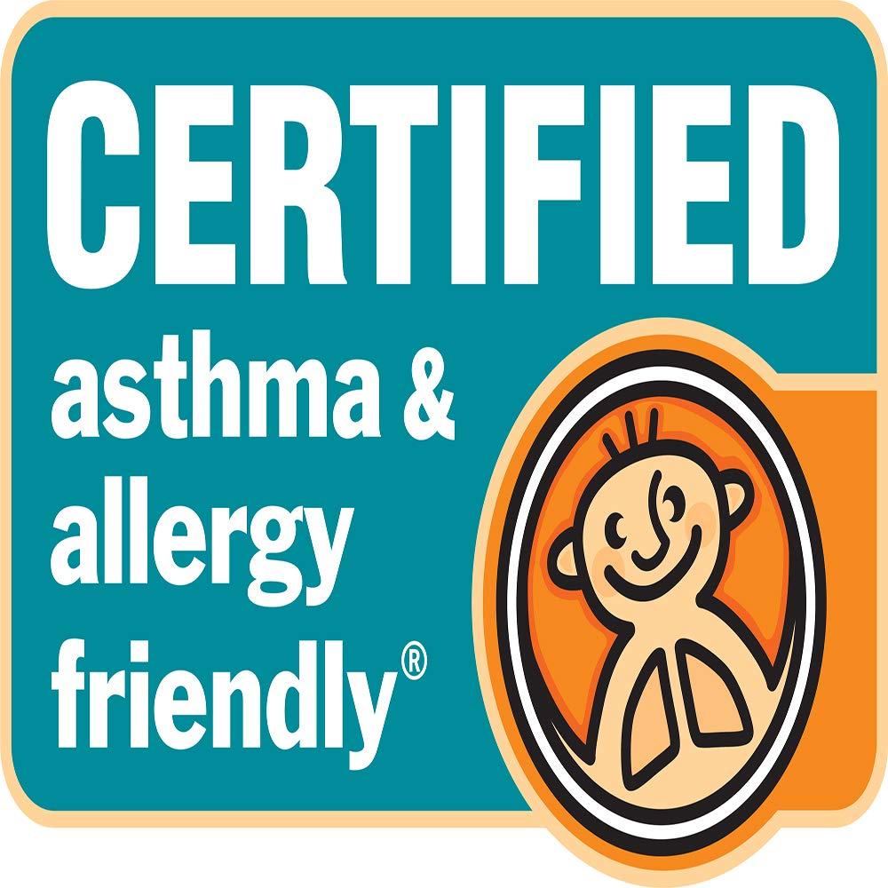 National Allergy National Allergy Complete Bedding Set - Queen Size - 100% Cotton Hypoallergenic Pillow (2 Pack) & Mattress Protector (12-Inch Deep), & Duvet Cover