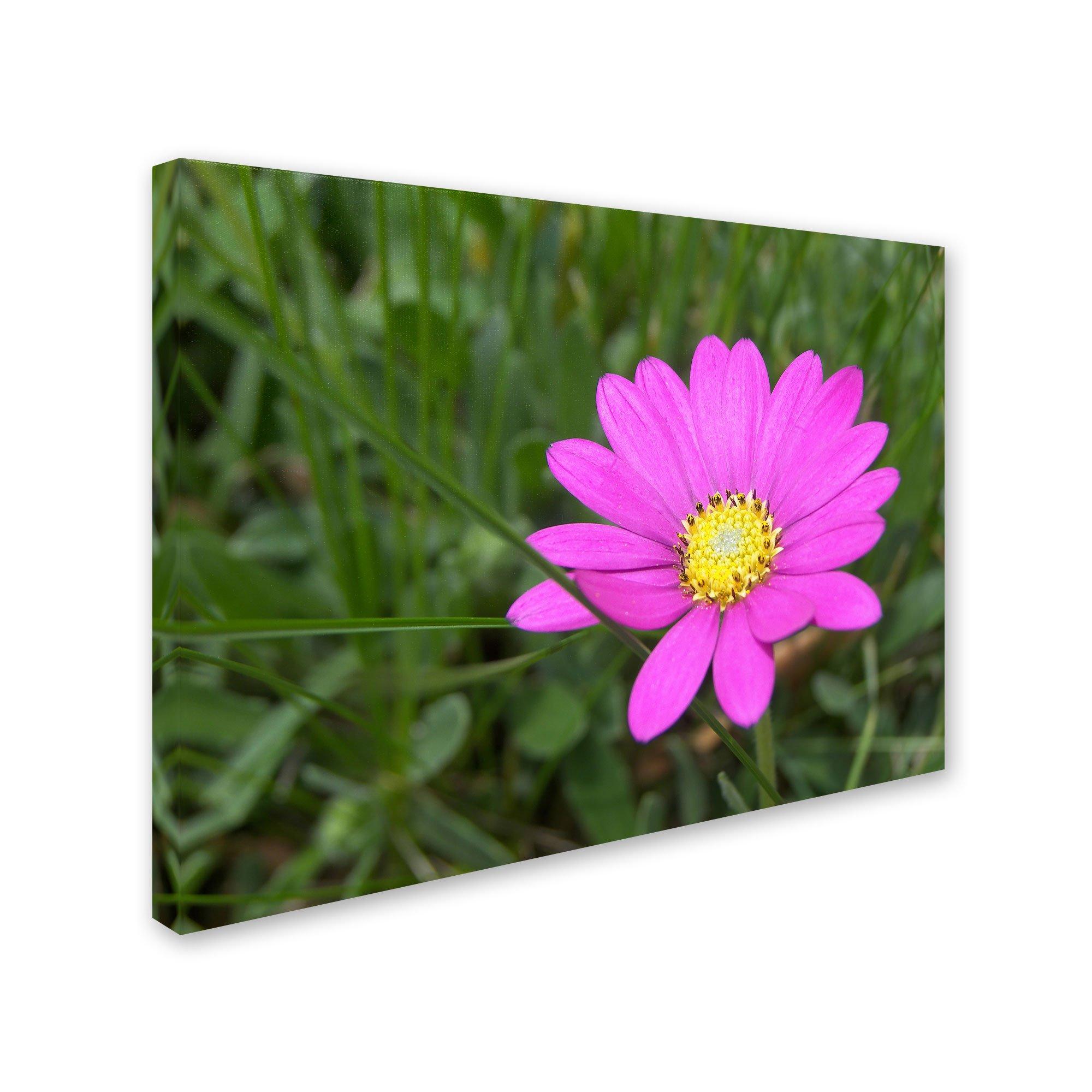 Winco Winco HAG-2012 Deluxe Griddle, 19-5/8\" L X 12-1/4\" W, Silicone Wrapped Lifted Handles, Hard Anodized Aluminum