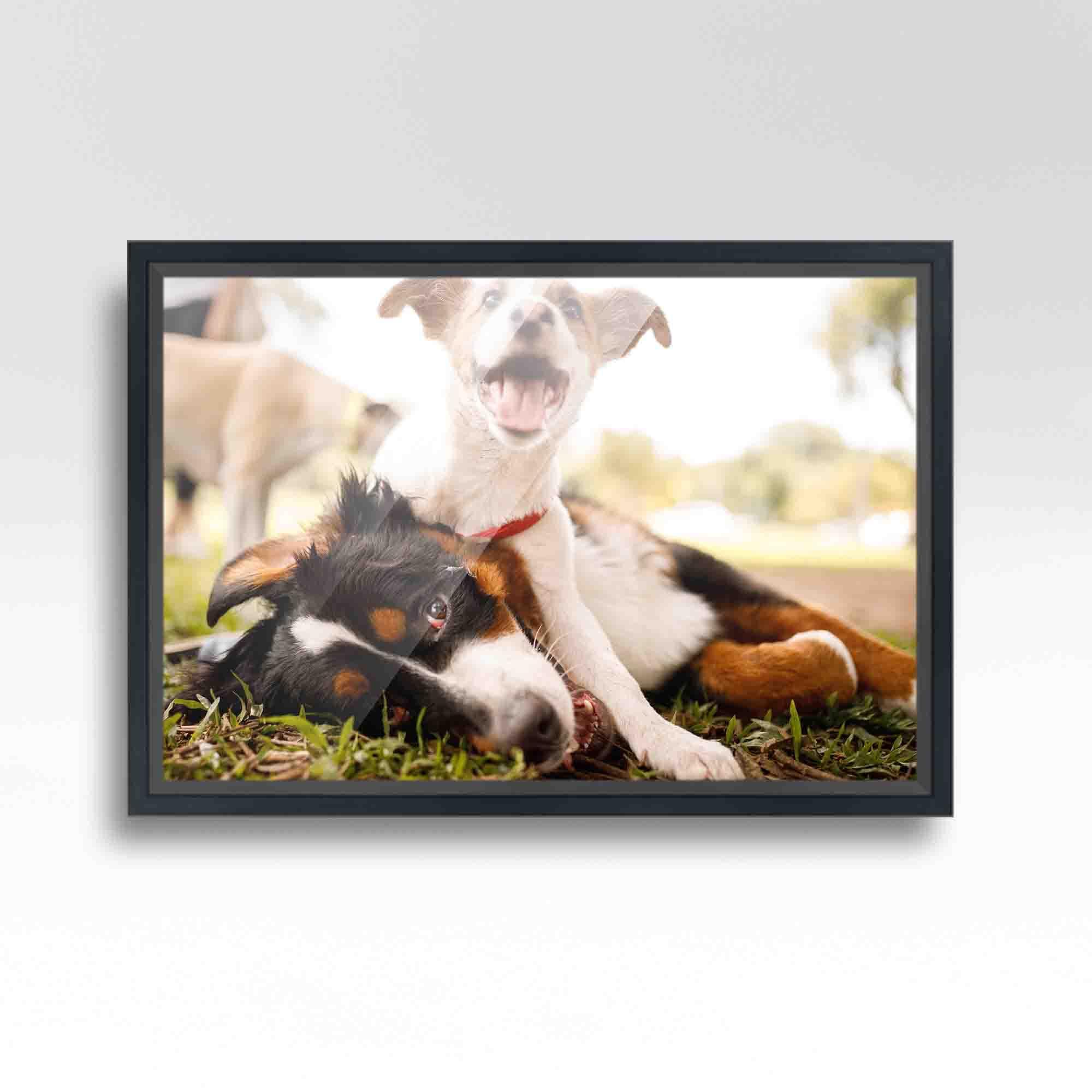 CustomPictureFrames.com 11x13 Frame Black Real Wood Picture Frame Width 1 Inches | Interior Frame Depth 0.75 Inches | Hightower Modern Photo Frame Complete with UV Acrylic, Foam Board Backing & Hanging Hardware