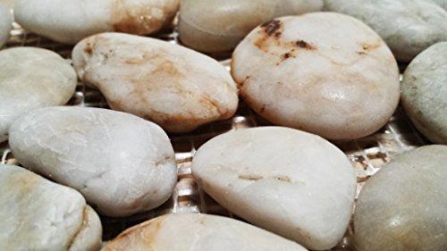 Sunny Pebble Stone Interlocking Pebble Floor Tiles (8-Pack) Kitchen, Bathroom, and Patio Flooring | Indoor and Outdoor Use | Natural Polished Cloud Stones | Quick and Easy Grout Installation