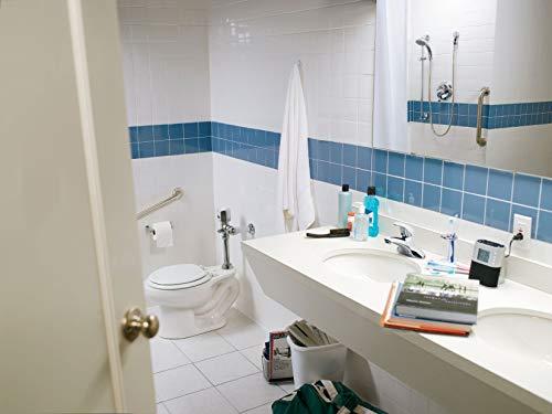 Moen Moen 8346 Commercial Posi-Temp Pressure Balancing 4 Port Cycling Valve Hand Shower System 2.5 gpm, Chrome