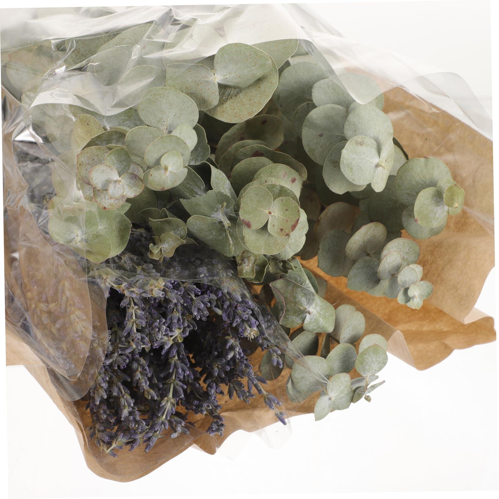 Ciieeo Ciieeo 1 Eucalyptus Shower Plant Real Eucalyptus Branches Dried Lavender Shower Preserved Eucalyptus Stem Lavender Bundles for Shower Dried Eucalyptus Stem Dried Flowers