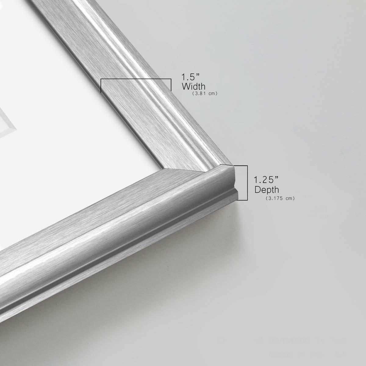 Renditions Gallery Abstract Wall Art, Wall Dcor Print, Animals, Flowers, Coastal, Geometric, and Vibrant Colors, With Matte Board, Acrylic Glass, and Hanging Hardware - Perfect Peony - Silver Framed 22X22