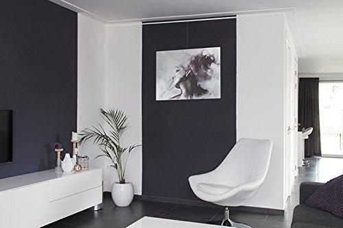 Stas Picture Hanging Systems STAS Art Hanging System: STAS cliprail pro alu 200cm 78.75 inch + Installation kit