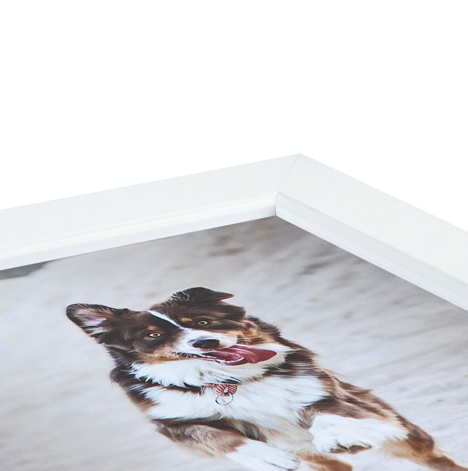 ArtToFrames ArtToFrames 9x10 inch Contemporary White with Lip Wood Picture Frame, 2WOMD8991-9x10