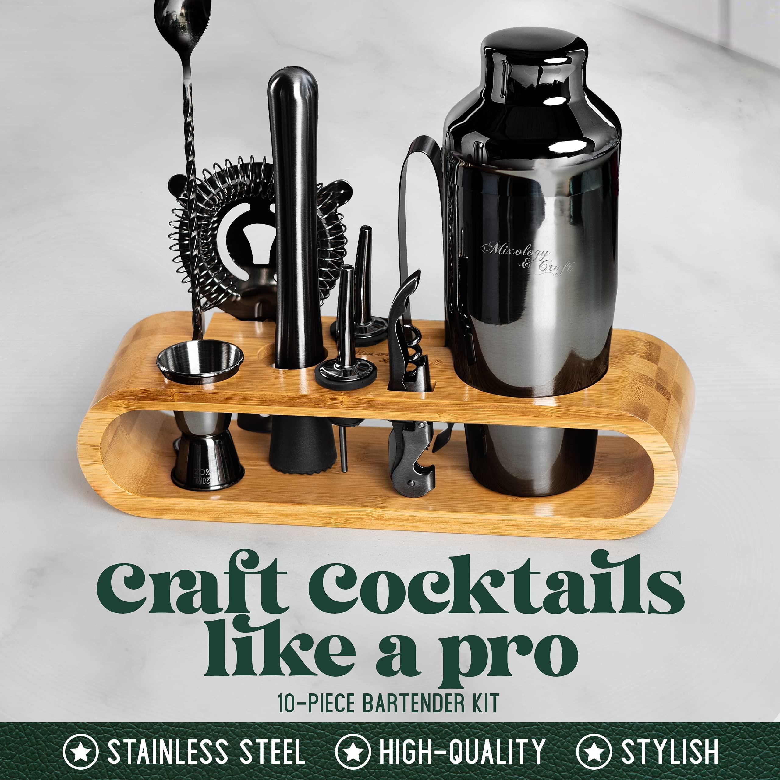 Mixology & Craft Mixology & Craft Bartender Kit: 10-Piece Bar Tool Set with Bamboo Stand | Perfect Home Bartending Kit and Martini Cocktail Shaker Set Great Drink Mixing Experience | Fun Housewarming Gift (Gun-Metal)
