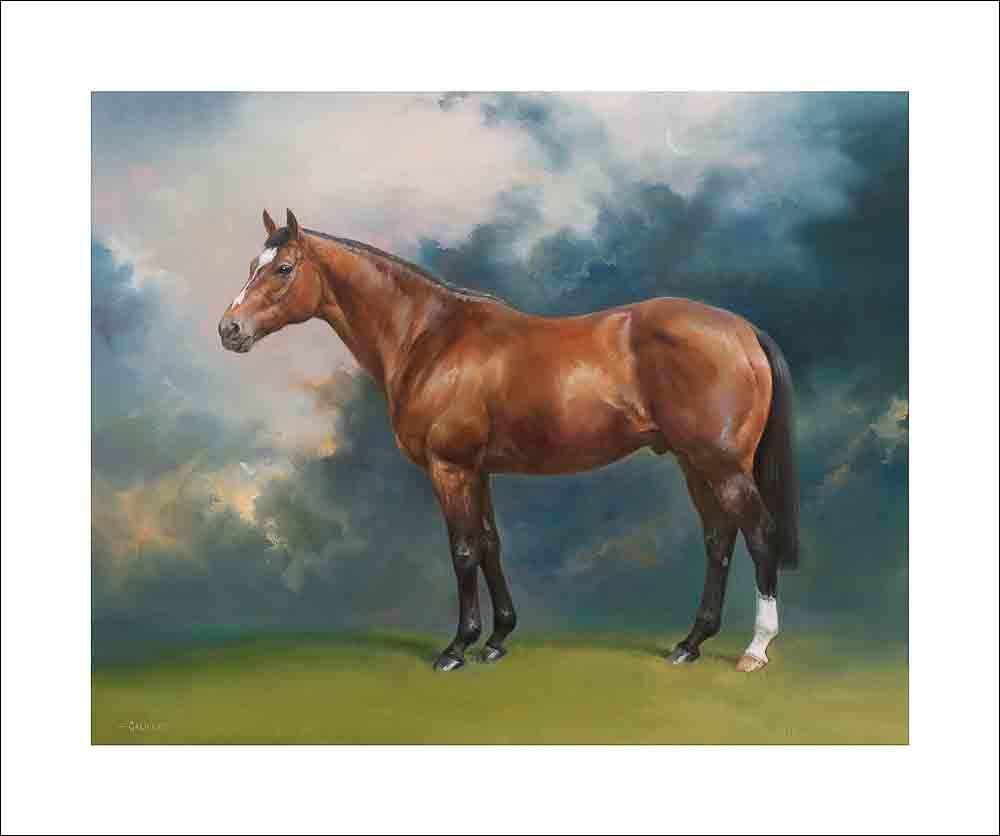 Canvas Art USA Misty Morning III by Jon R. Friedman - 31\" x 38\" Canvas Art Print Gallery Wrapped - Ready to Hang