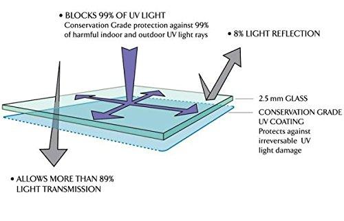 Perfect Cases Perfect Cases Single Diploma Frame with 5x7 Photo, Tassel and Double Matting for 9\" x 7\" Tall Diploma with Cherry 2\" Frame
