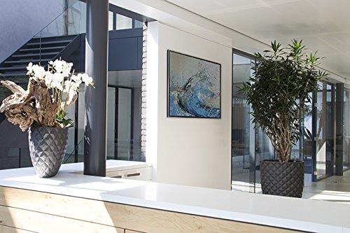 Stas Picture Hanging Systems STAS Art Hanging System: STAS cliprail pro alu 200cm 78.75 inch + Installation kit