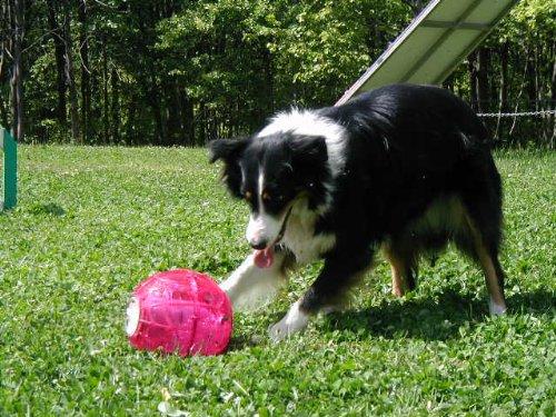 UCO YayLabs Play and Freeze Ice Cream Ball Ice Cream Maker, Pint, Blue