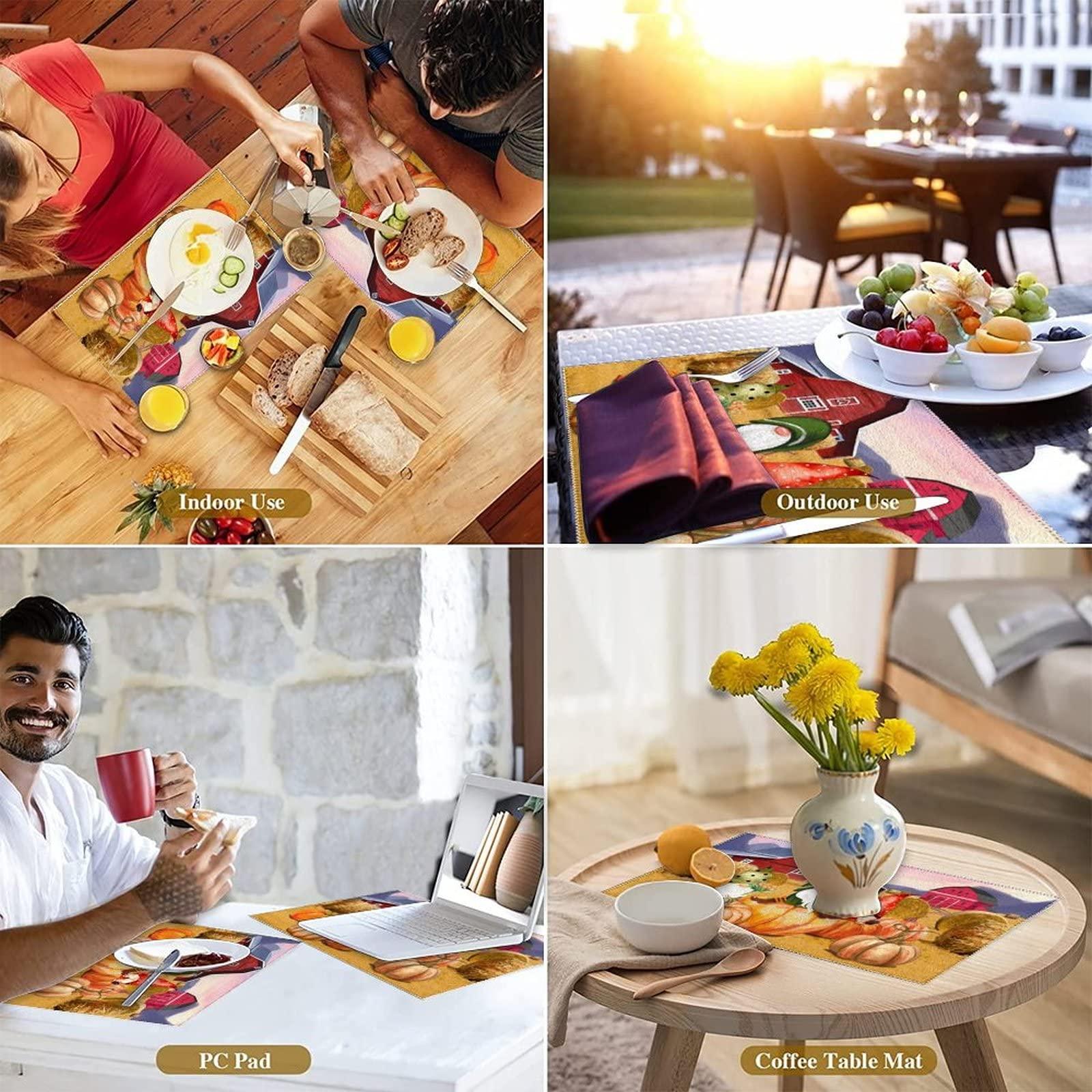 Alioyoit Table Place Mats Fall Farm Pumpkins Harvest Gnomes Chic Table Mats Reversible Reversible Dining Table Placemats Fabric Placemats Decor for Indoor Outdoor Patio Thanksgiving Day Set of 6