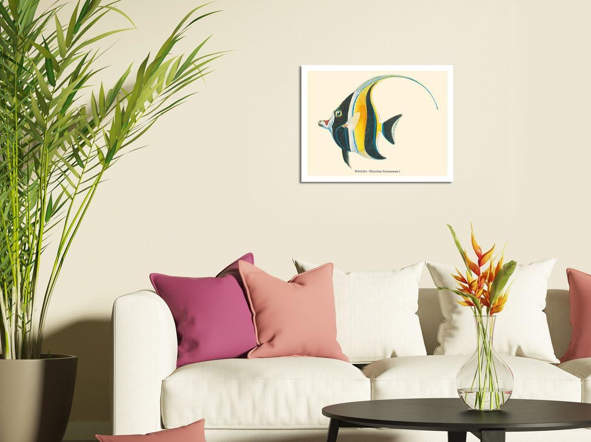 Pacifica Island Art Kihikihi (Zanclus Cornutus) - Moorish Idol - from Fishes of Hawaii - Vintage Hawaiian Color Postcard c.1905 - Fine Art Rolled Canvas Print (Unframed) 16in x 20in
